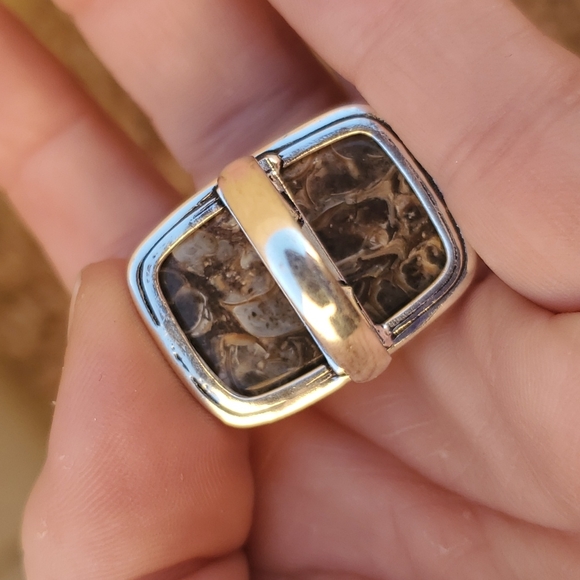 New Turritella Agate Fossil 925 Silver Ring. - Picture 14 of 15